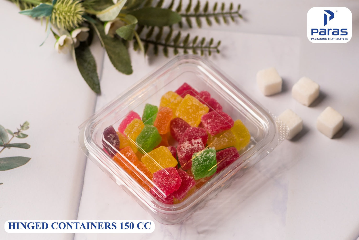Hinged Containers - Thermoforming