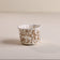 Colorful Small Round Muffin Cups - Pack of 100